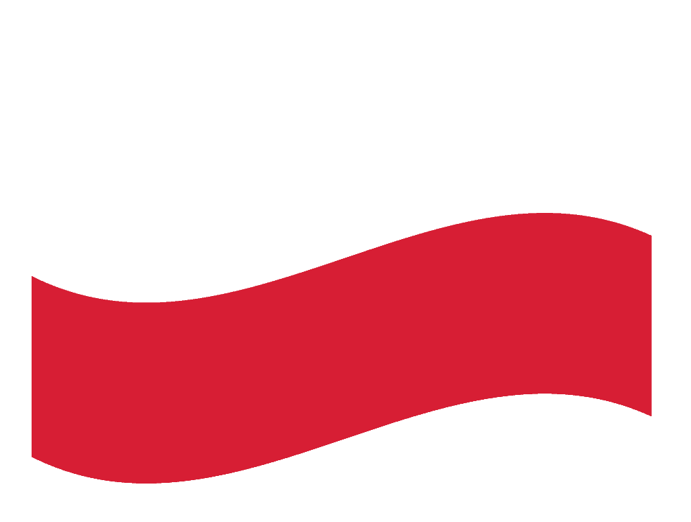 polish escort