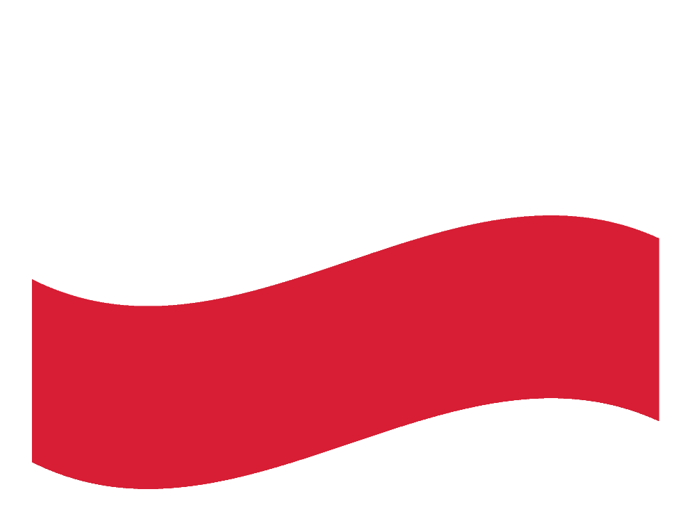 polish flag