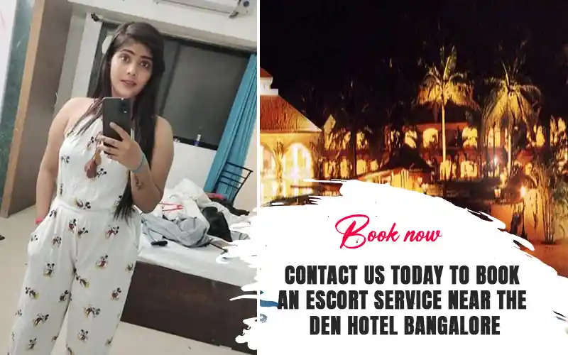 The Golden Palms escorts service