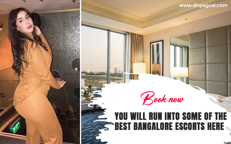 Renaissance escorts service