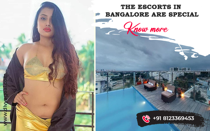courtyard escorts